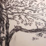 Cherry tree sketch