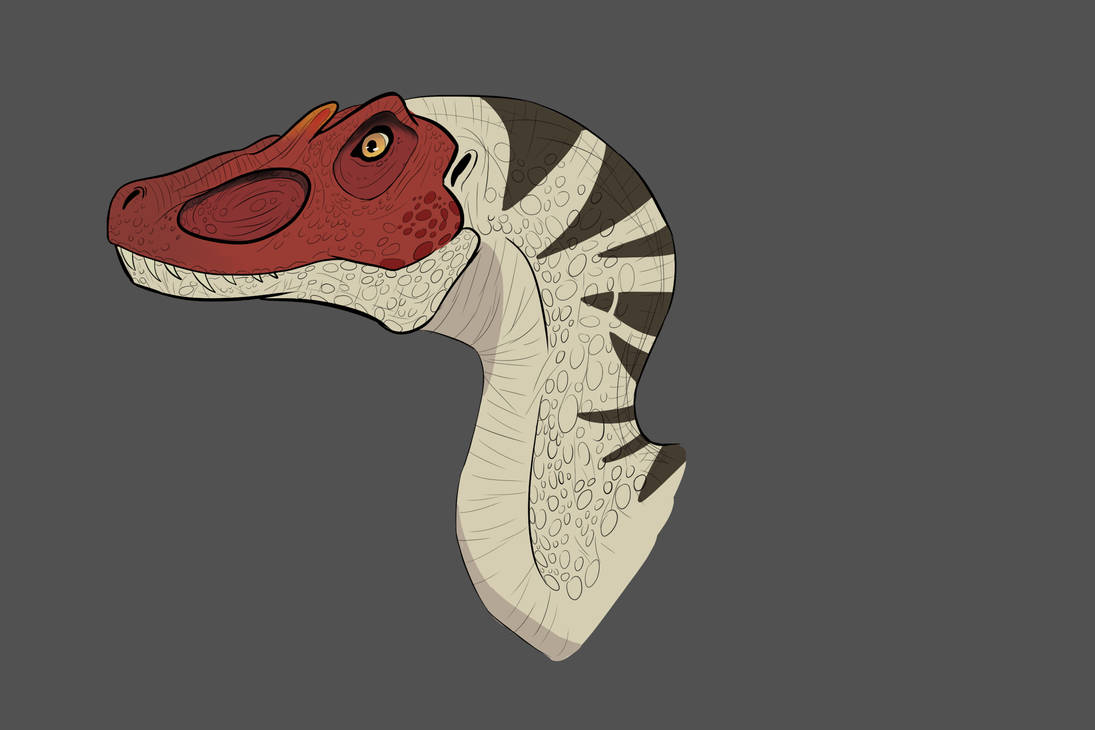 Velociraptor Blood Head by elvaquerodelsur on DeviantArt