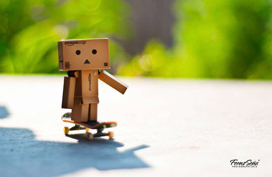 Danbo The Trasher