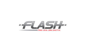 Flash LOGO