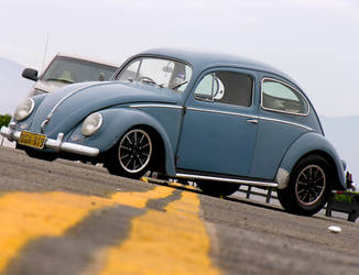 Oval bug 2