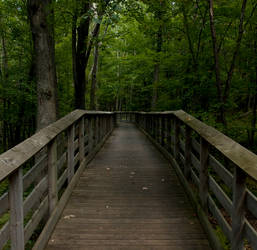 Wooden Bridge