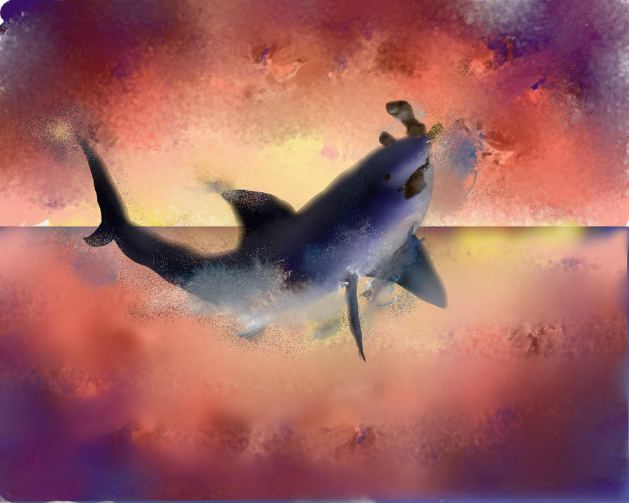 Shark Deviantart Shark by shadowslake on DeviantArt