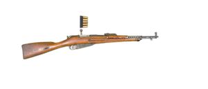 Mosin-Tokarev Bolt action shotgun