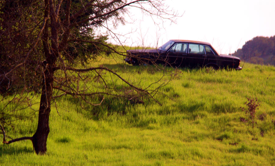 Lost and Lonesome by JWilsonArts on DeviantArt