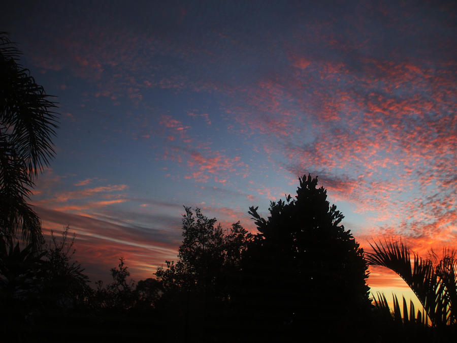 Creeping In by Witchcrata on DeviantArt