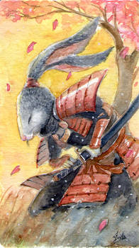 Samurai rabbit