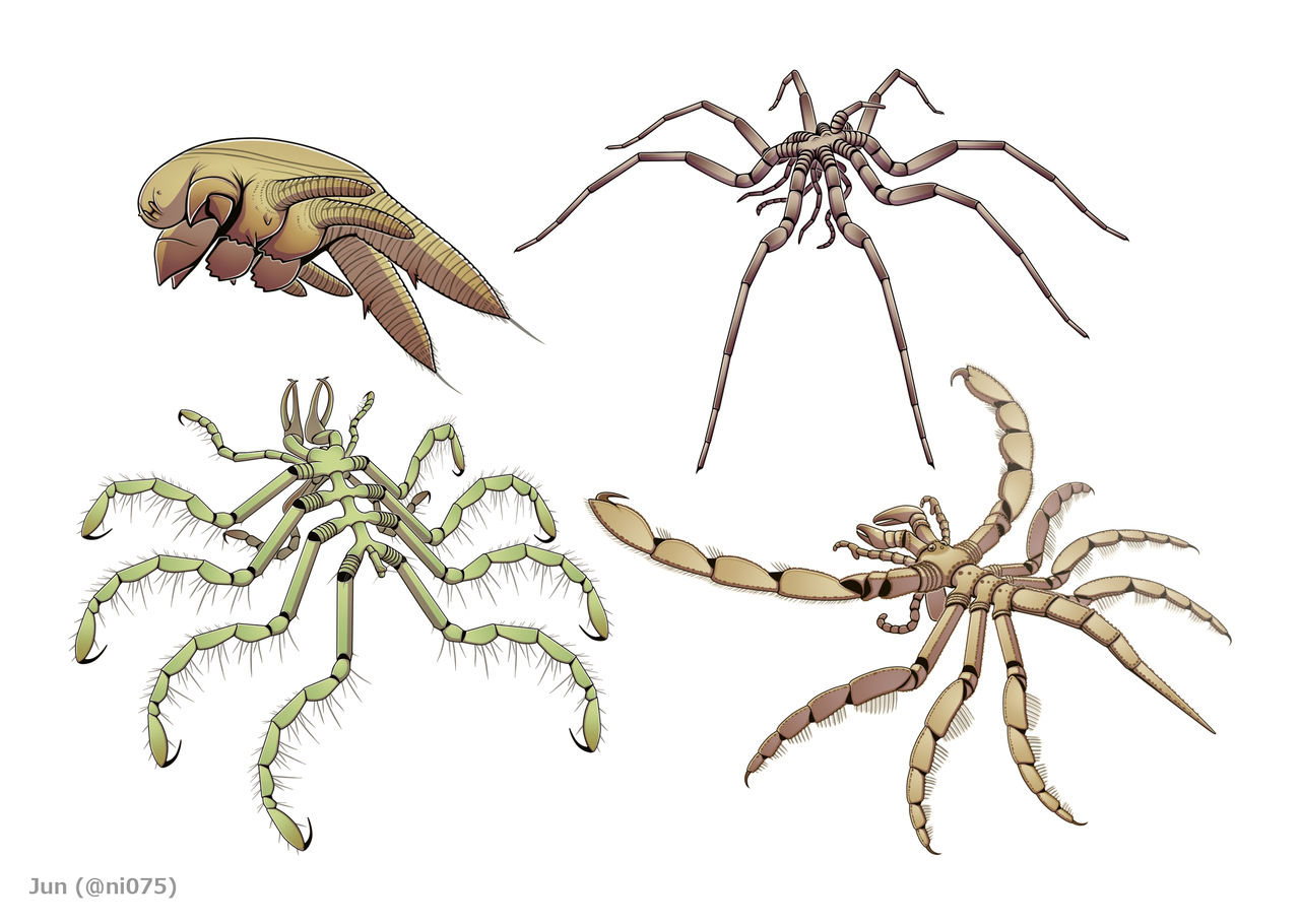 Pycnigonids Paleozoic pycnogonids by Jun075 on DeviantArt