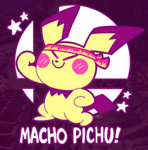 It's MACHO PICHU!