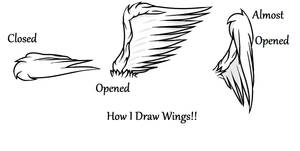 How I Draw Wings
