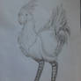 Chocobo