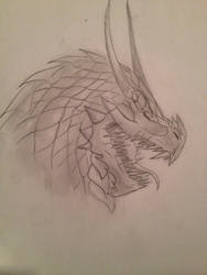 Dragon sketch