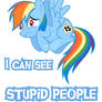 Stupid People Rainbow Dash