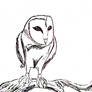 Pottermore Owl