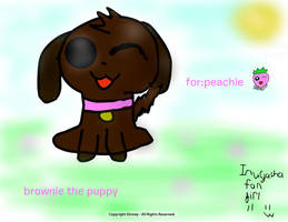 brownie the puppy for Princess-Peachie