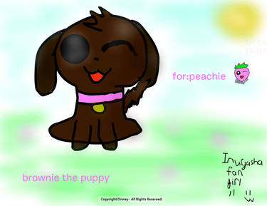 brownie the puppy for Princess-Peachie