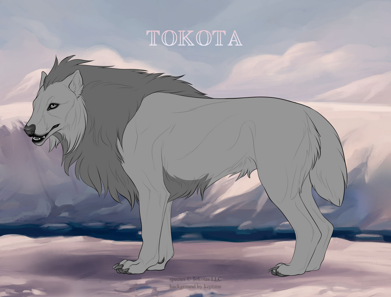Tokota Base Color Official Tokota Import Template by DesignDen on DeviantArt
