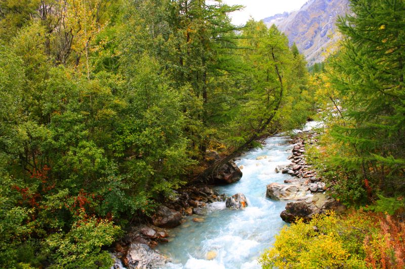 Alpine Stream