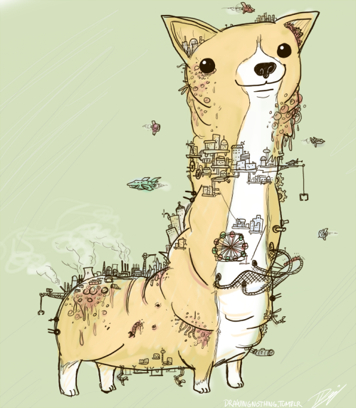 Corgi