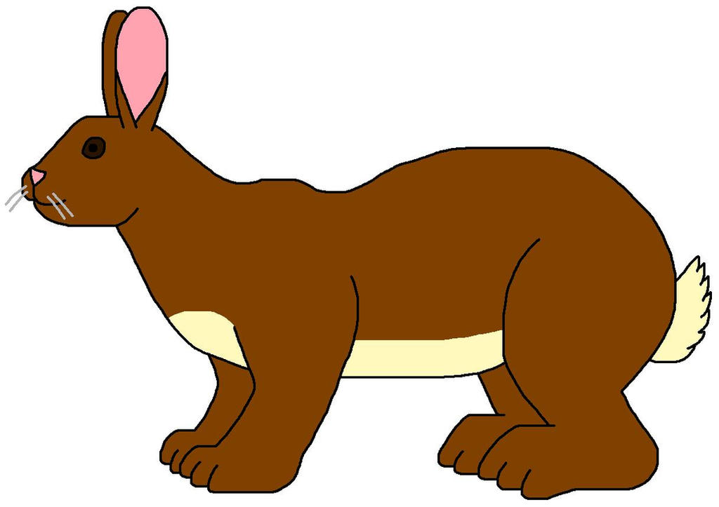 European Rabbit (Drawing) by Captain-Art-hero on DeviantArt