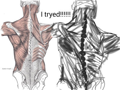 Subhuman Back Human Anatomy - Back by emmily29 on DeviantArt