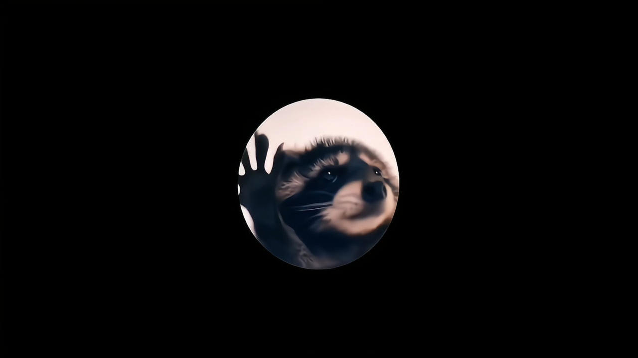 Pedro Raccoon Dancing Live Wallpaper by WallpaperWaves on DeviantArt