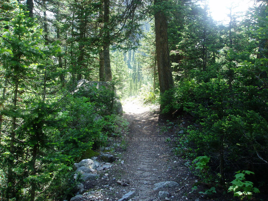 The Path Less taken by gallophome on DeviantArt