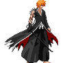 Ichigo Bankai Awakened