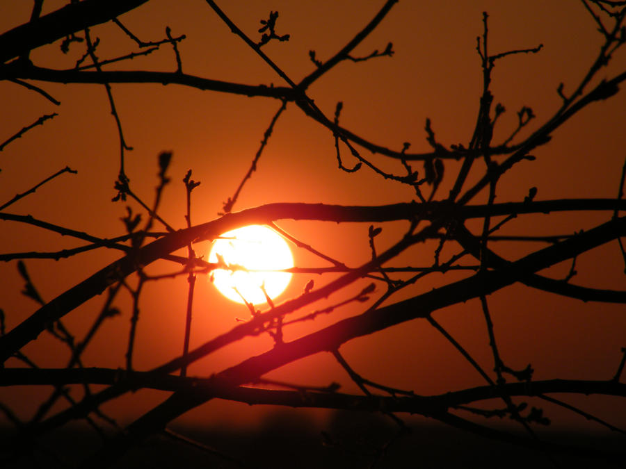 spring sundown