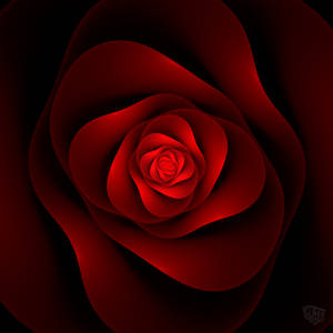 fractal rose