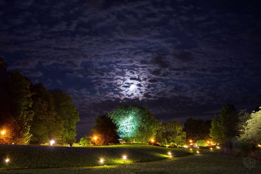 botanical garden berlin at night