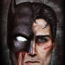 Bruce vs. Bat