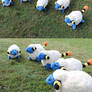 Mareep Horde