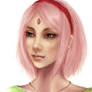 Sakura Haruno: The last