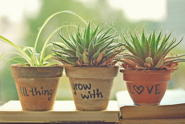 All things grow with love