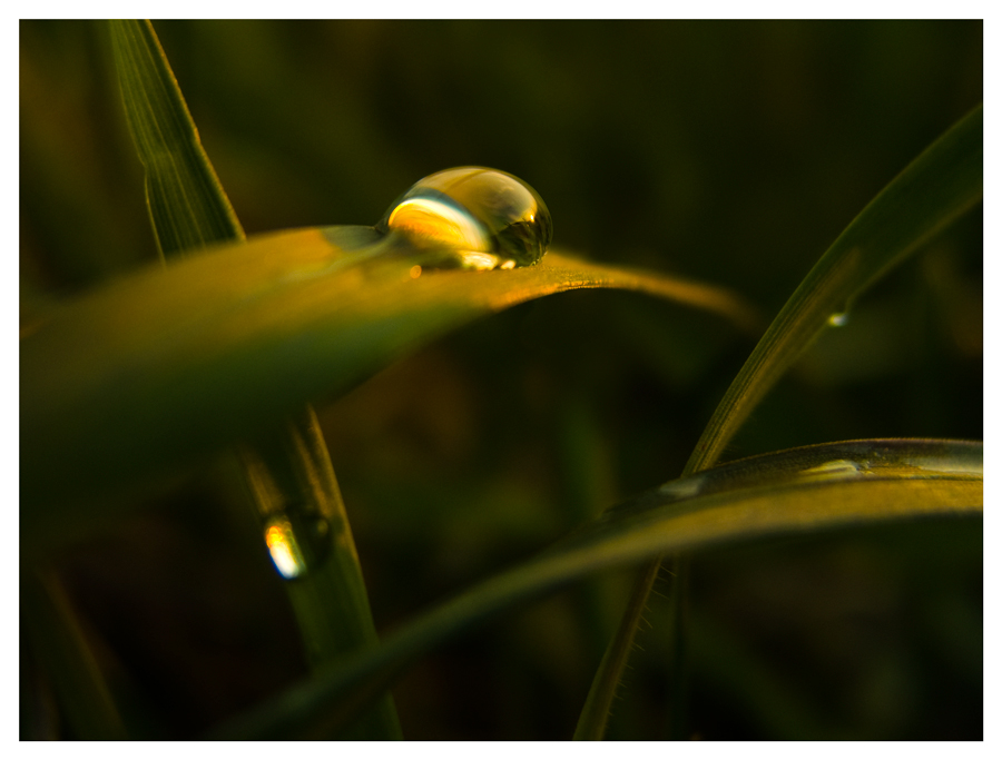 Drop of light