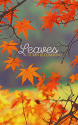 LEAVES