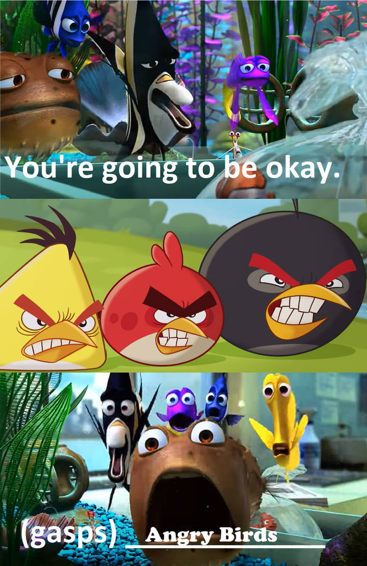 Angry Fish Character Angry Birds The Fish by Samuelddecilos on DeviantArt