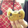 COOKIE!!