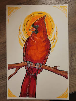 (Trade) Cardinal