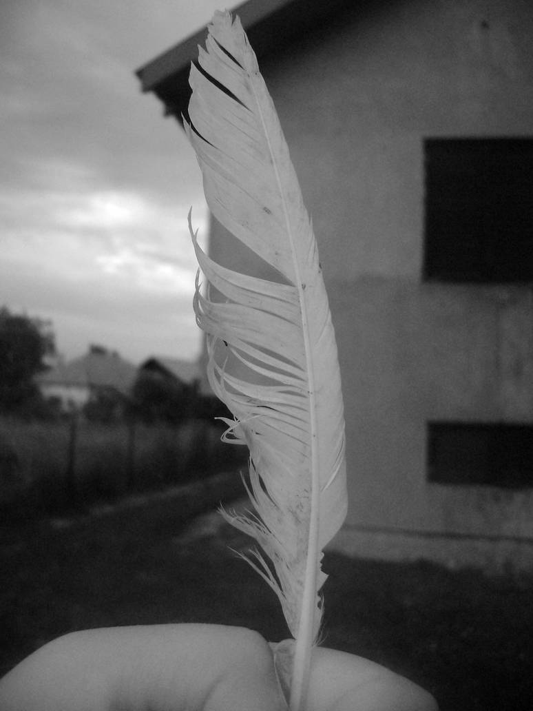 Fider 1 By Kikafl4 On DeviantArt