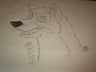 balto by maxcat2013