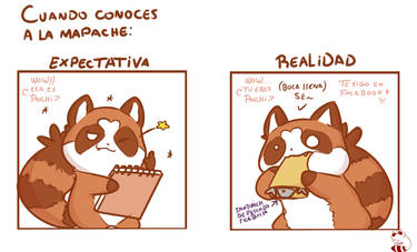 Pachi Expectativa - Realidad