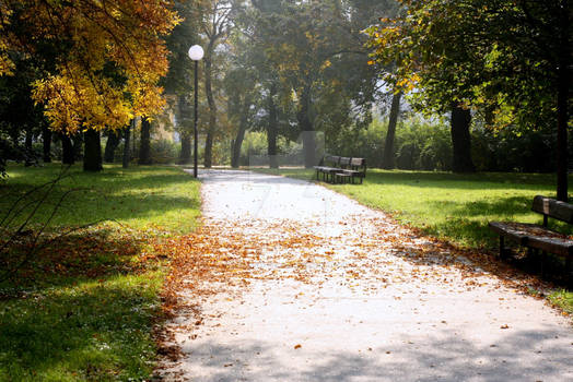 crossroad of nature