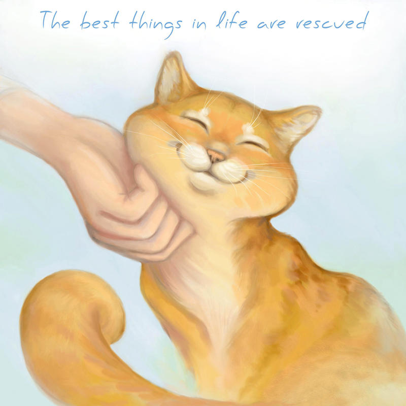 Best things in life are rescued... by Yullapa Best things in life are rescued... by Yullapa