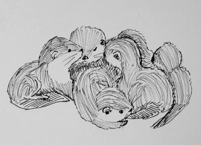 Otter Pile