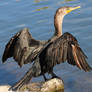 Hellyer Park 30