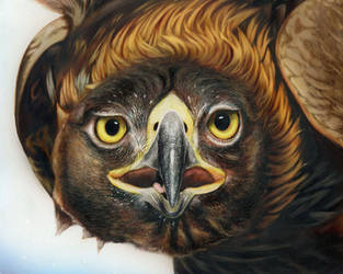 Golden Eagle - inks on clayboard