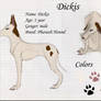 Dickis reference sheet