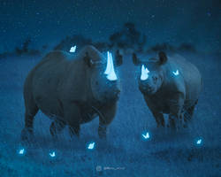 Rhino Glow